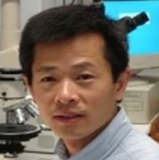 Photo of Maia Chankseliani, PhD